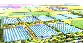 玛雅吧企业新闻