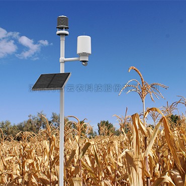 自动形象监测站