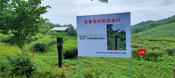茶园 “佳人计”绿色灭虫害 干净黔茶托普用心呵护