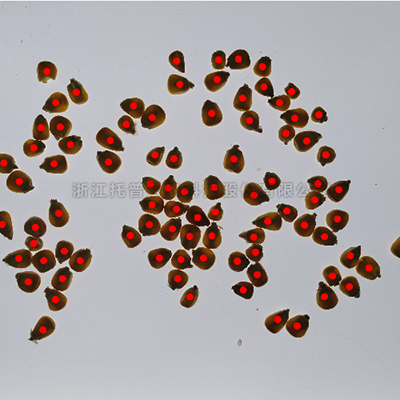 首页-玛雅吧-「品质引领发展,专一成就将来」