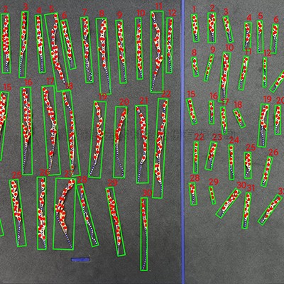 首页-玛雅吧-「品质引领发展,专一成就将来」