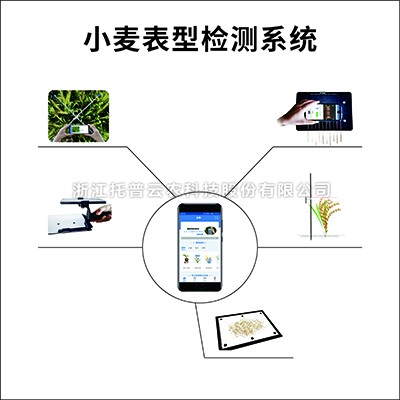 幼麦表型检测仪