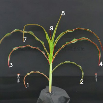 首页-玛雅吧-「品质引领发展,专一成就将来」