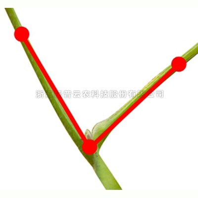 首页-玛雅吧-「品质引领发展,专一成就将来」