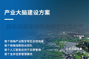 杨梅产业大脑建设规划