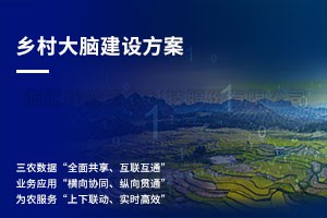 浙江村落大脑建设规划