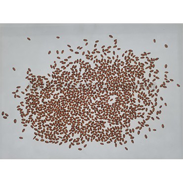 首页-玛雅吧-「品质引领发展,专一成就将来」