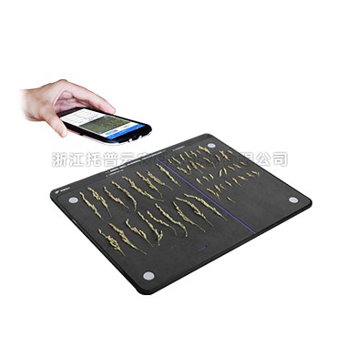 首页-玛雅吧-「品质引领发展,专一成就将来」