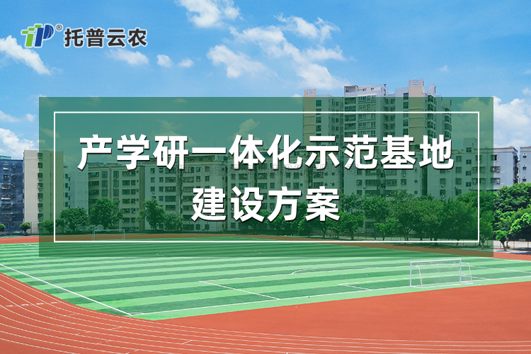 20230607134415753943