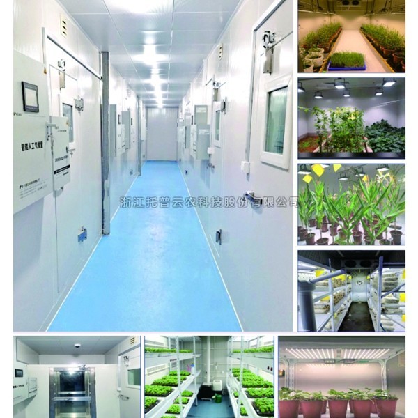 一文相识植物人为气象室是什么？