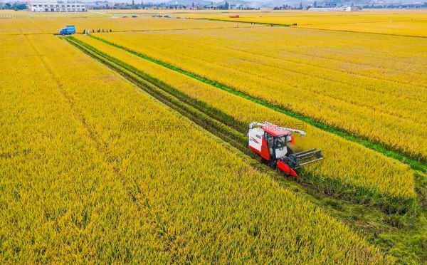 案例分享|托普在高尺度农田建设上都做了什么？