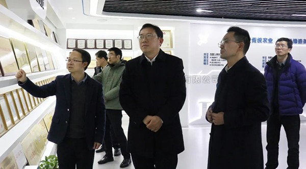 湘湖尝试室常务副主任杨华一行光临玛雅吧调查调研