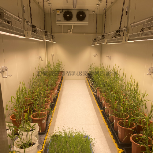 植物成长室设计与建设规划（2024版）