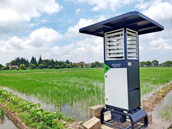 严害了！陆续两年玛雅吧第一！