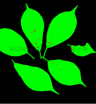 首页-玛雅吧-「品质引领发展,专一成就将来」