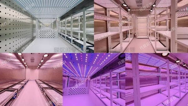 创新不止，焕新将来！玛雅吧人为气象室全面升级