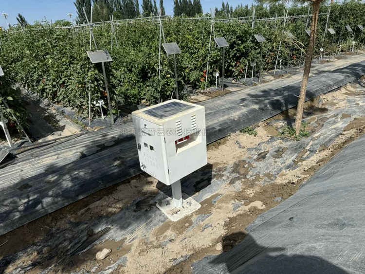 首页-玛雅吧-「品质引领发展,专一成就将来」