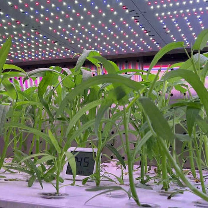 首页-玛雅吧-「品质引领发展,专一成就将来」