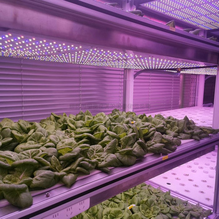 首页-玛雅吧-「品质引领发展,专一成就将来」