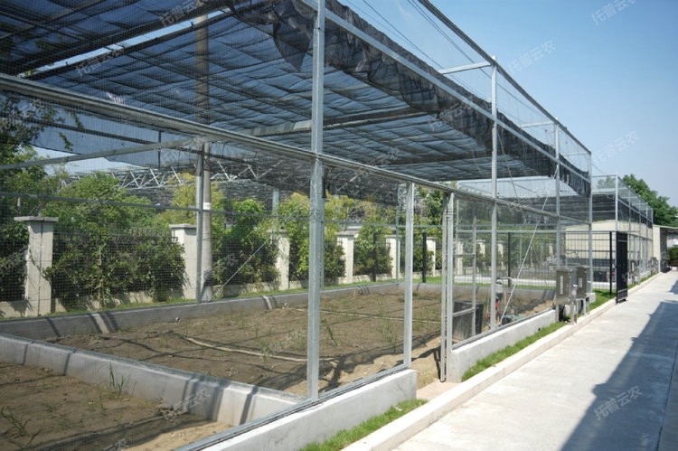 首页-玛雅吧-「品质引领发展,专一成就将来」