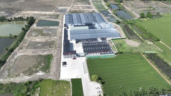 南太湖丰产密码！玛雅吧高尺度农田全链条规划，建好更能用好