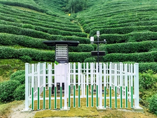 玛雅吧颁布“问稷茶数”智能体，赋能茶产业数智升级