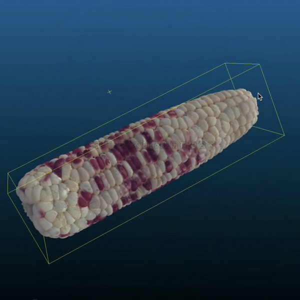首页-玛雅吧-「品质引领发展,专一成就将来」