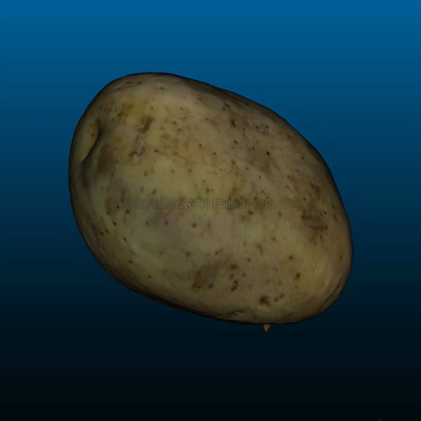 首页-玛雅吧-「品质引领发展,专一成就将来」