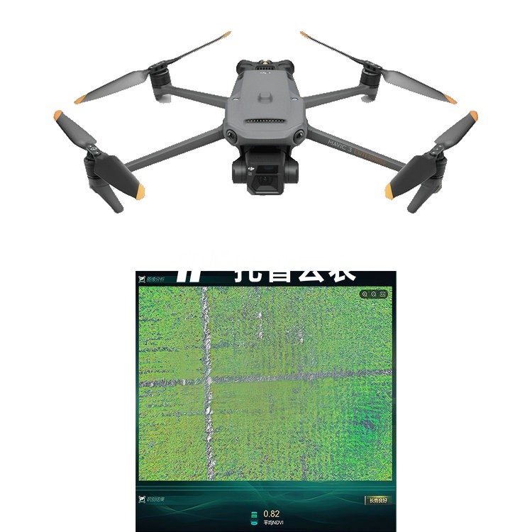 玉米表型成长光谱监测系统 TP-DGP-YM