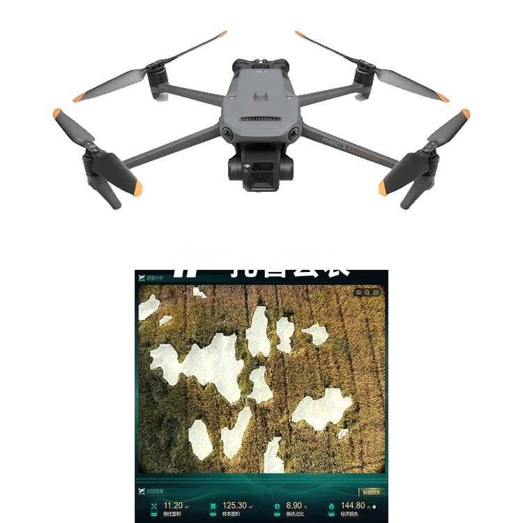 低空遥感植物表型分析系统