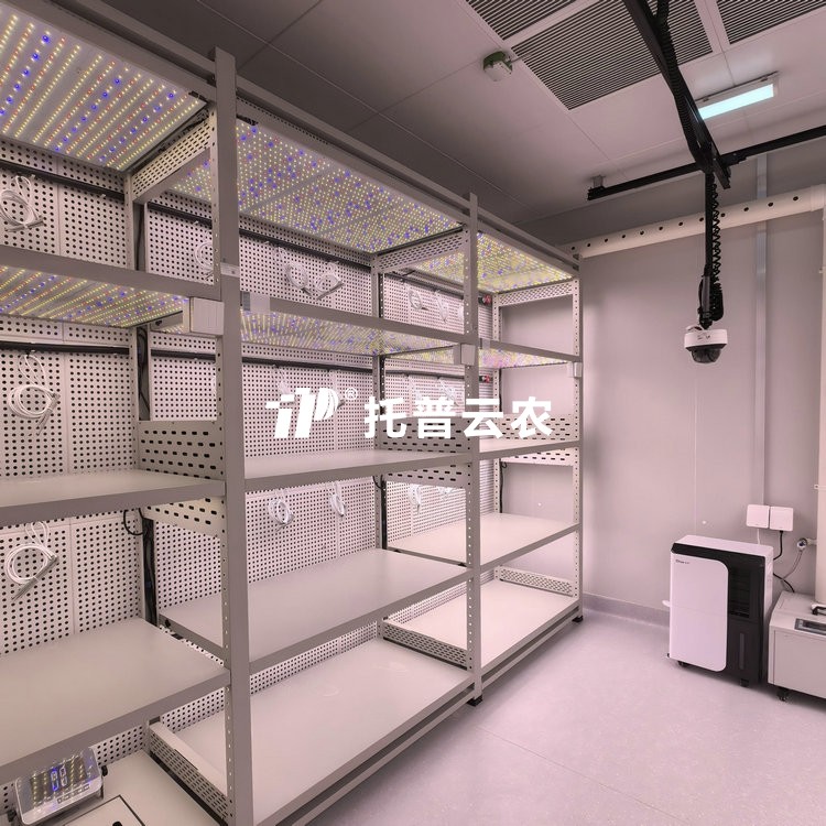 人为气象室植物表型监测系统