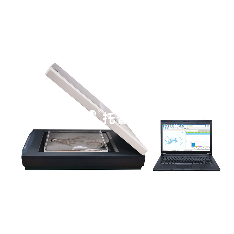 植物根系分析仪GXY-A