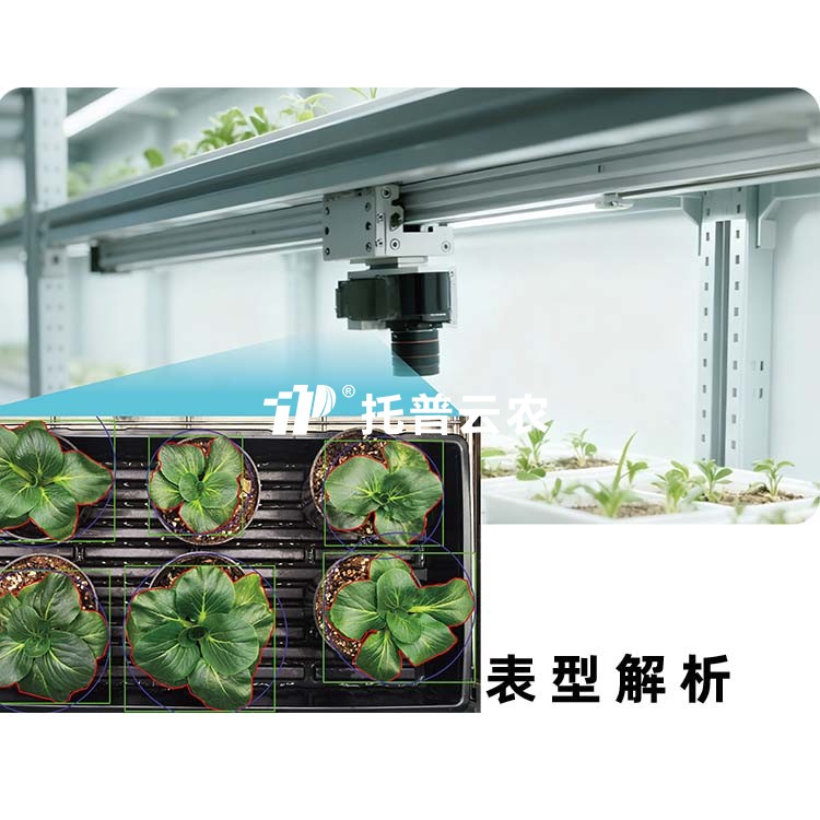 首页-玛雅吧-「品质引领发展,专一成就将来」