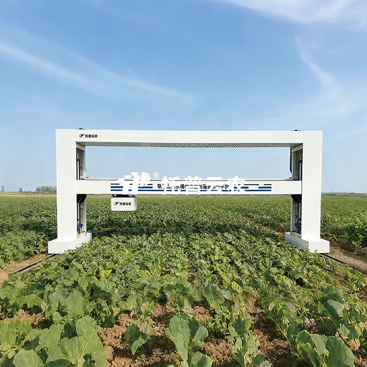 首页-玛雅吧-「品质引领发展,专一成就将来」