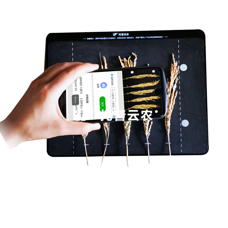 稻穗状态丈量仪 TPDS-X-1