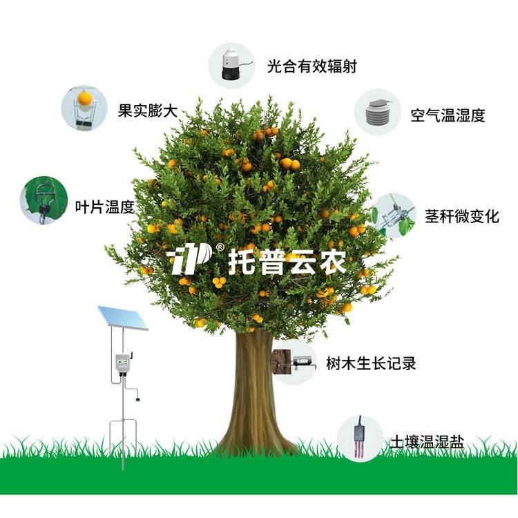 植物生理生态监测系统 TP-ZWSL系列