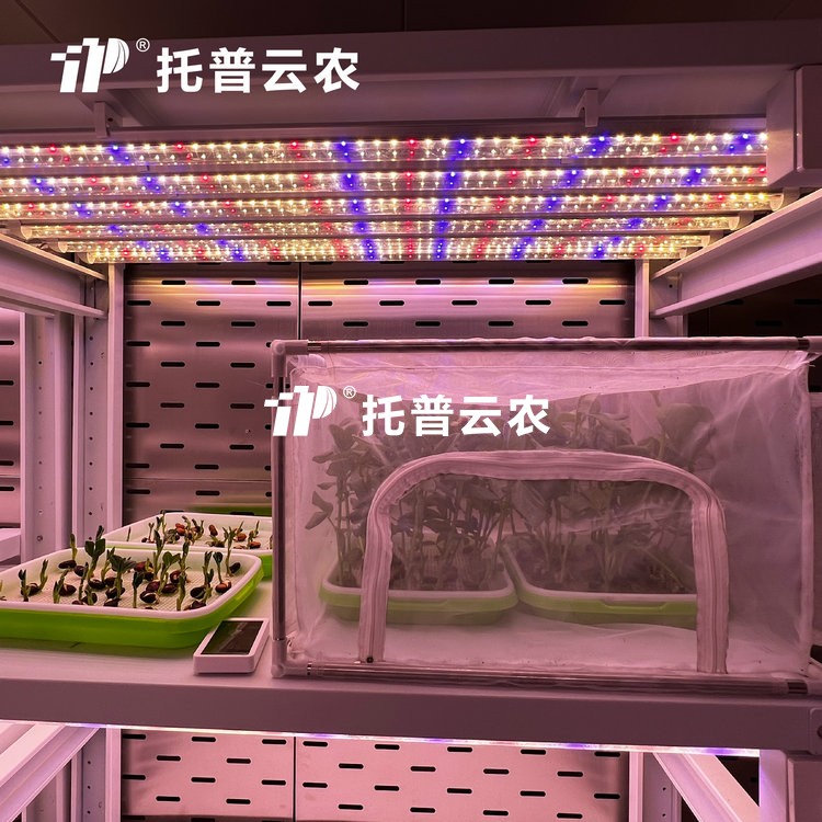 顶置光源人为气象室是什么？