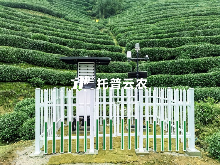 智慧茶园综合解决规划|智慧茶园数字化建设规划