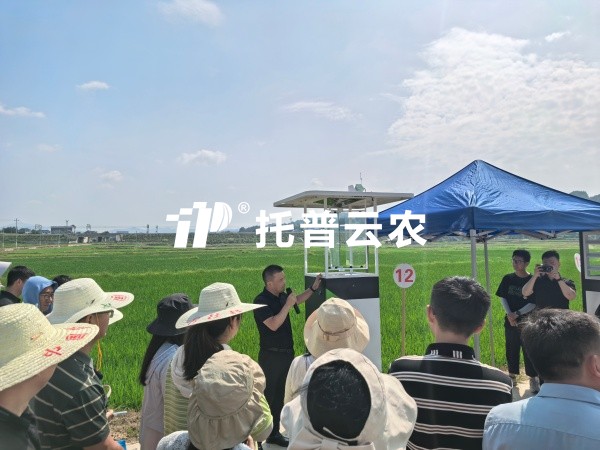 从“监测”到“智庞妆！玛雅吧智能（AI)虫情测报灯沉磅颁布，智慧植保迈入“智庞妆时期