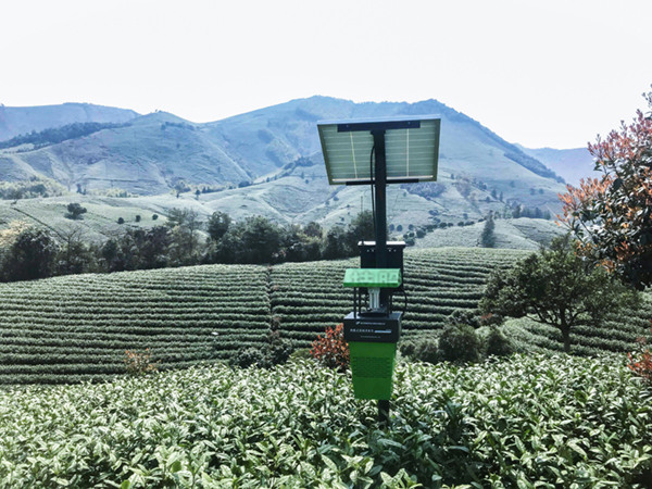 托普茶园物联网解决规划助推安吉打造现代生...