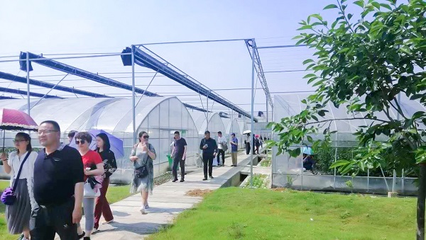 培训班顶着炎暑调查萧山区农科所临浦基地