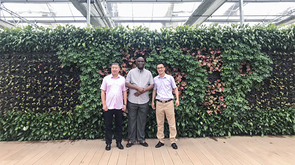 尼日利亚农业银行行长来访玛雅吧