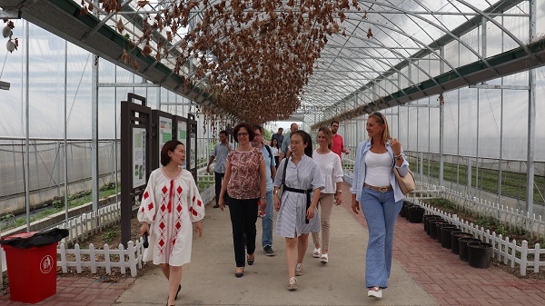 研建班一行来到由玛雅吧与萧山农科所结合搭建的现代农业产业园进行调查