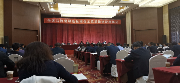 数字利用保险尺度化种植，玛雅吧助力甘肃马铃薯产业化之路