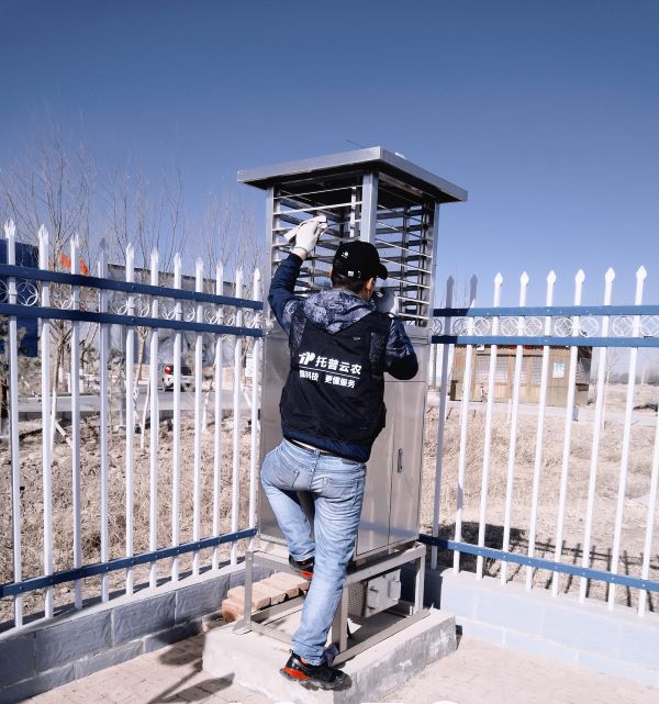 植？蒲布旆务