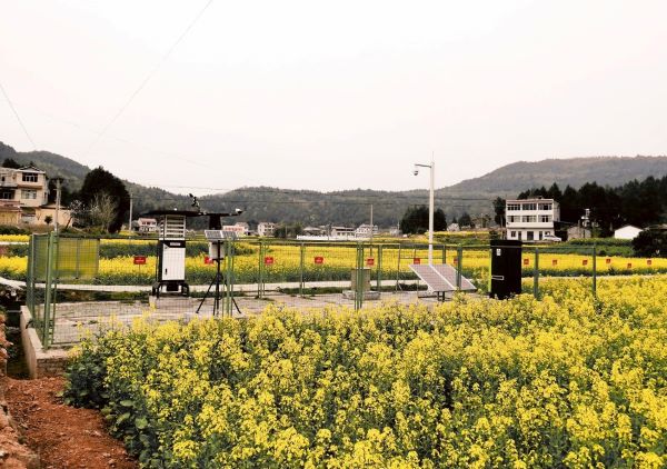 玛雅吧病虫害监测点