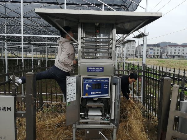 偶然化身“武林高手”