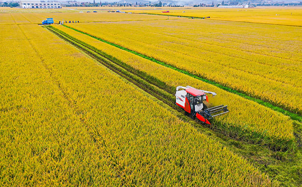 古林大田数字农业项目建设功效