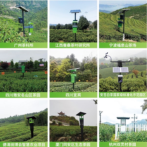 玛雅吧茶园绿色防控技术规划利用