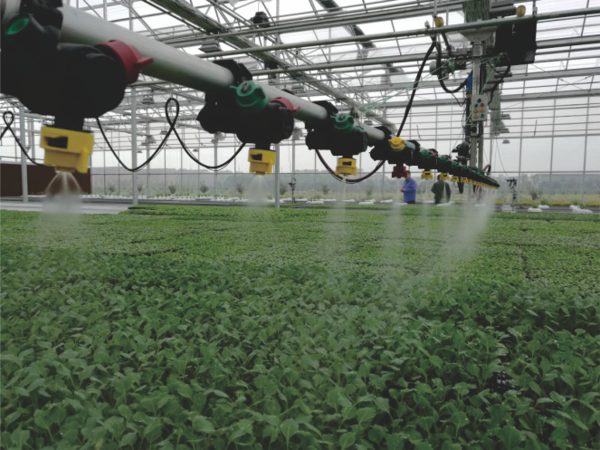 玛雅吧打造的萧山农科所现代农业示范基地